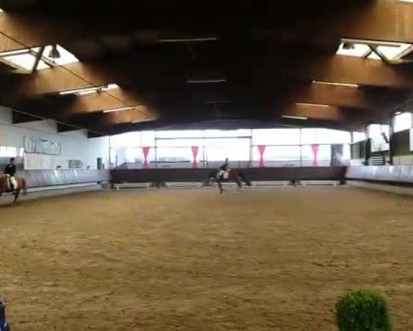 Video von High Five 6