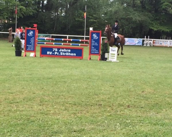 Video von Gail's Ajax