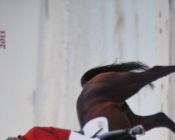 dressage horse Champus 96 (Westphalian, 2006, from Collin L)