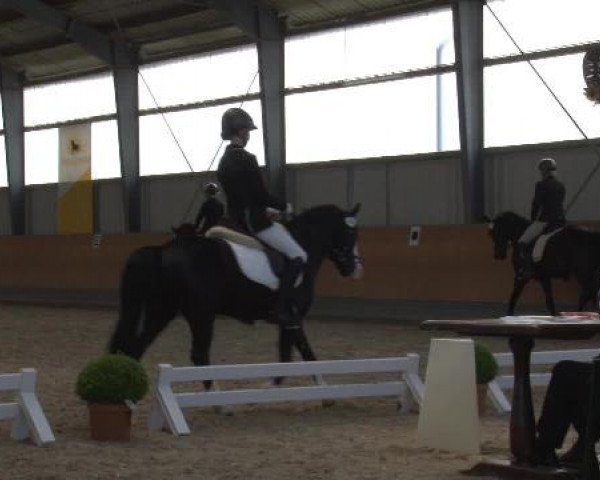 Frechen-Grefrath 2015