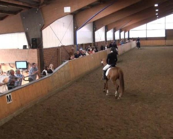 Iserlohn-Kalthof 2015