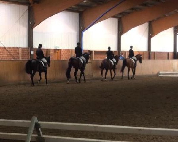 Iserlohn-Kalthof 2015