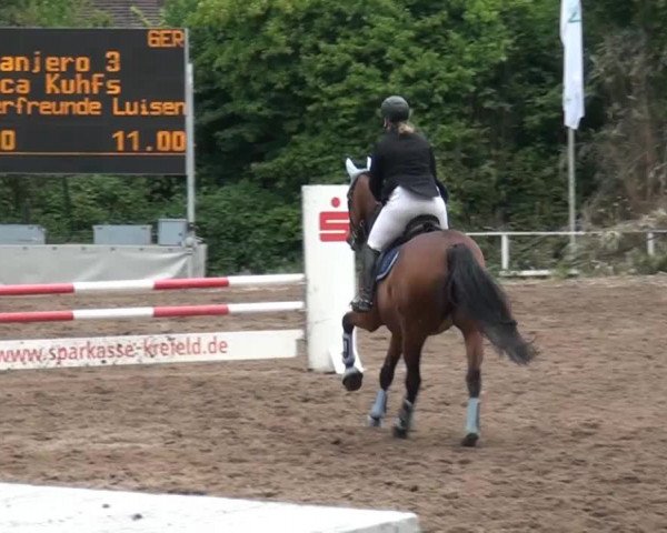 Reitturnier Krefeld-Hüls 2015