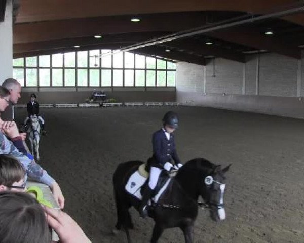Reit - und Springturnier Hamm-Rhynern 2015