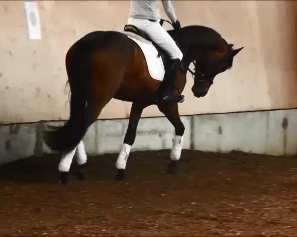 Video of Quick' n Dirty