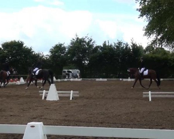 Reitturnier Willich-Anrath-Neersen 2015