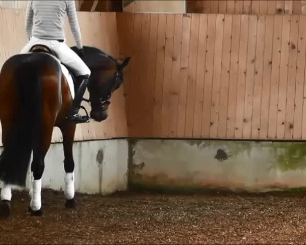 Video of Quick' n Dirty