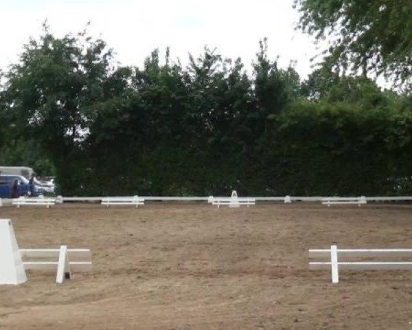 Reitturnier Willich-Anrath-Neersen 2015