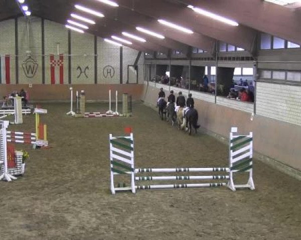 Reit - und Springturnier Hamm-Rhynern 2015