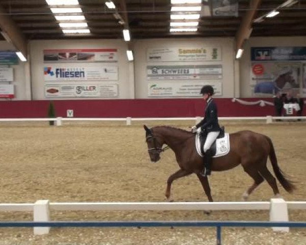 Pfingst - Dressur und Springturnier Borken 2015