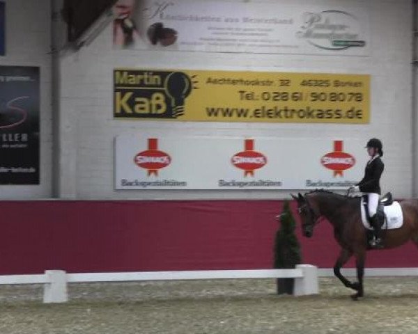 Pfingst - Dressur und Springturnier Borken 2015