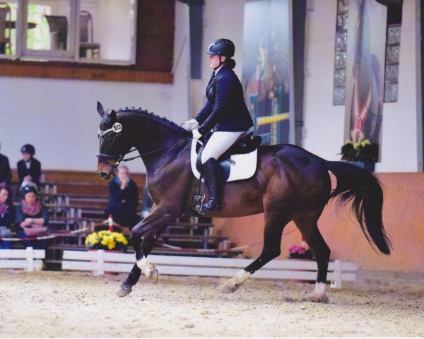 broodmare I am Alexsis (Westphalian, 2005, from It's me du Mesnil)