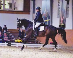 broodmare I am Alexsis (Westphalian, 2005, from It's me du Mesnil)