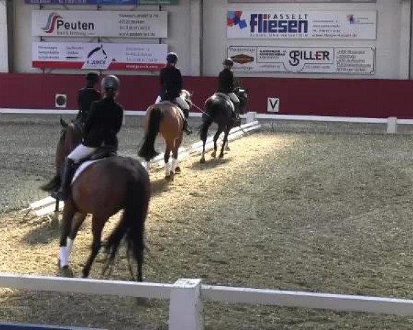 Pfingst - Dressur und Springturnier Borken 2015