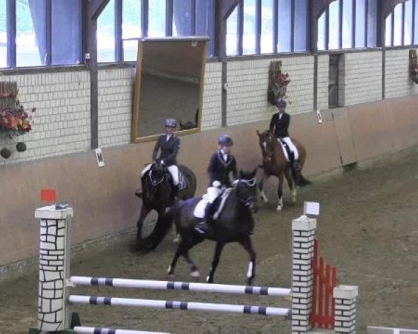 Reit - und Springturnier Hamm-Rhynern 2015