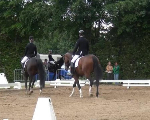Reitturnier Willich-Anrath-Neersen 2015