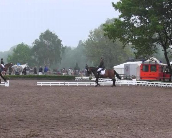 Reit - und Springturnier Hamm-Rhynern 2015
