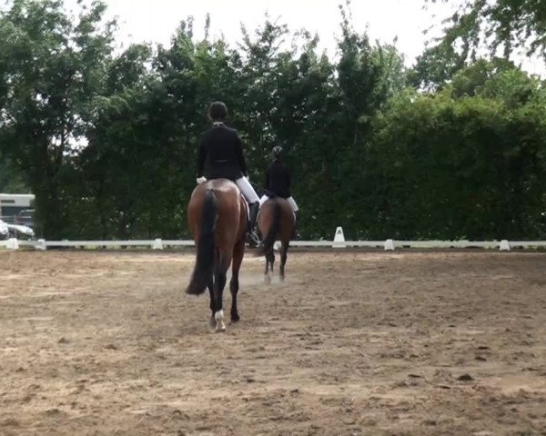 Reitturnier Willich-Anrath-Neersen 2015