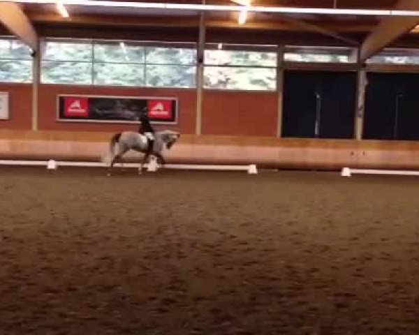 Video von Cassandra 327