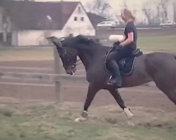Video of Flash D