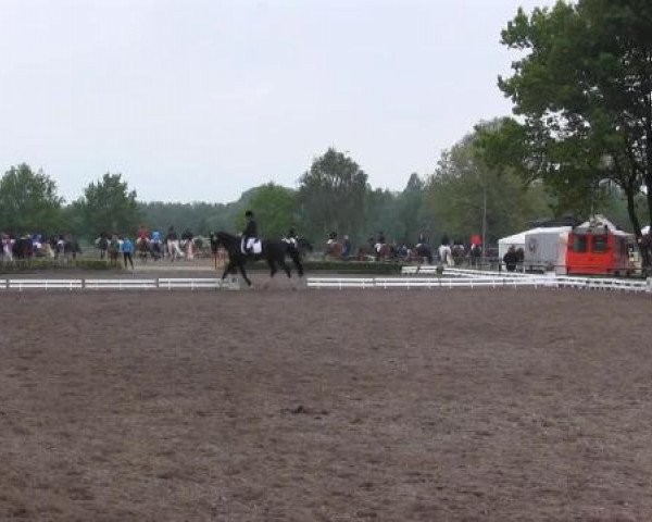 Reit - und Springturnier Hamm-Rhynern 2015