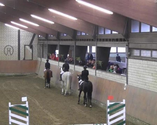 Reit - und Springturnier Hamm-Rhynern 2015