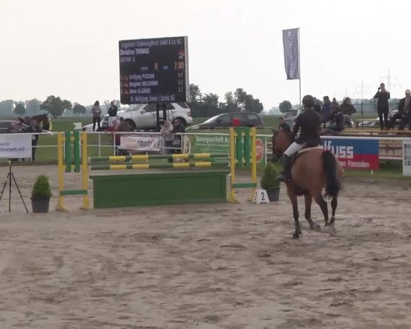 Großes Langenauer Reitturnier 2015