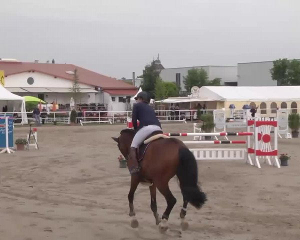 Großes Langenauer Reitturnier 2015