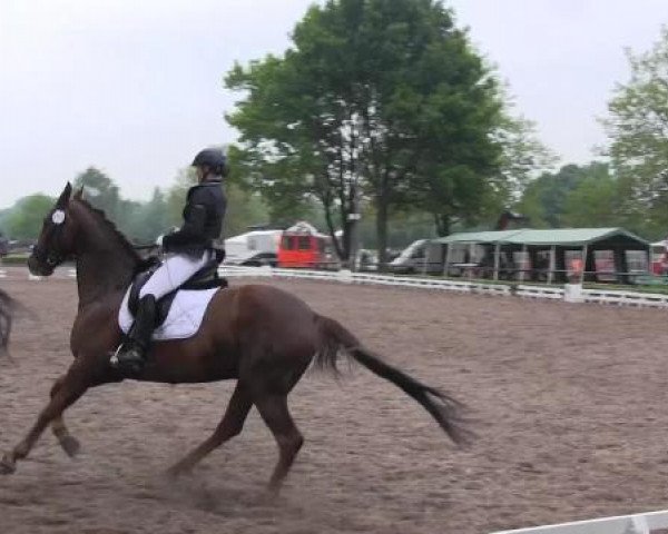 Reit - und Springturnier Hamm-Rhynern 2015