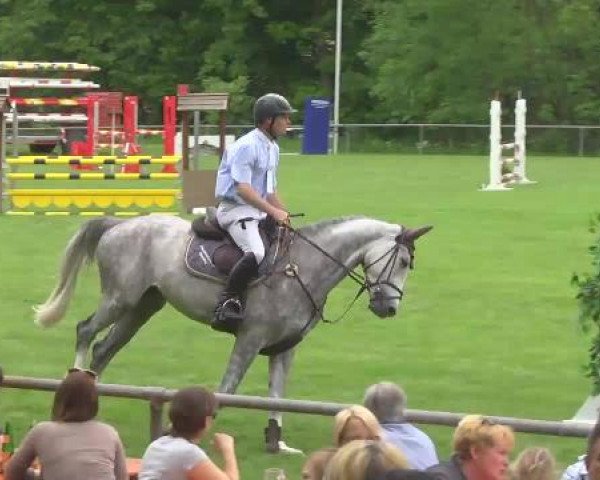 Grosses Freilandreitturnier Leingarten 2015 14.05.2015
17