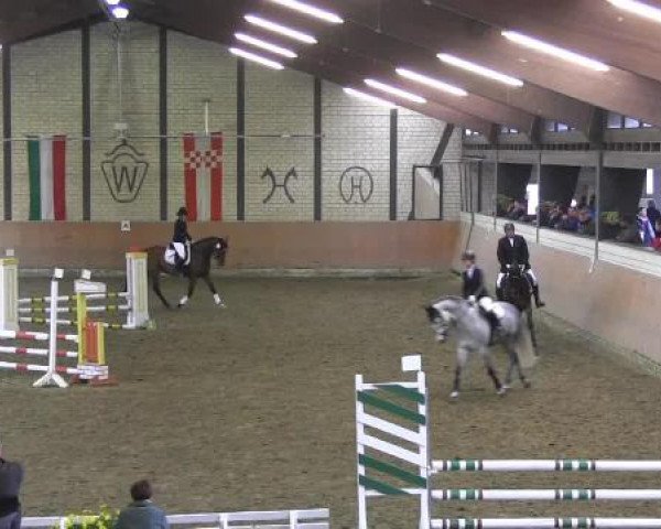 Reit - und Springturnier Hamm-Rhynern 2015