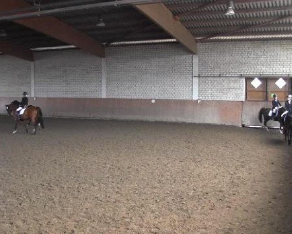 Reit - und Springturnier Hamm-Rhynern 2015