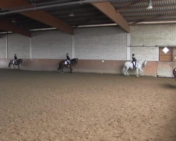 Reit - und Springturnier Hamm-Rhynern 2015