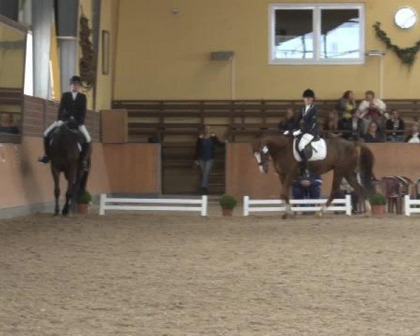 Frechen-Grefrath 2015