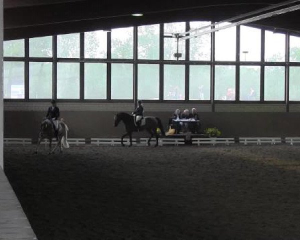 Reit - und Springturnier Hamm-Rhynern 2015