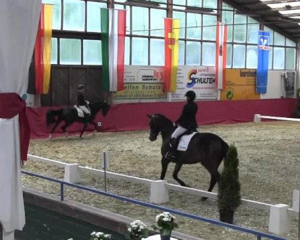 Pfingst - Dressur und Springturnier Borken 2015