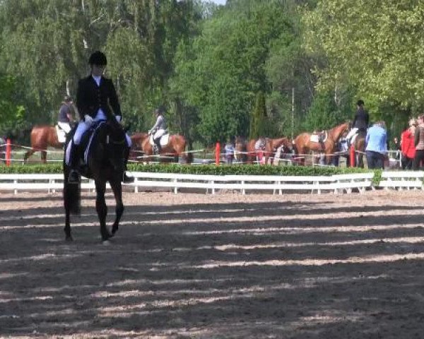 Reit - und Springturnier Hamm-Rhynern 2015