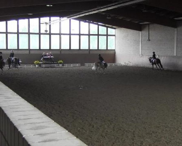 Reit - und Springturnier Hamm-Rhynern 2015