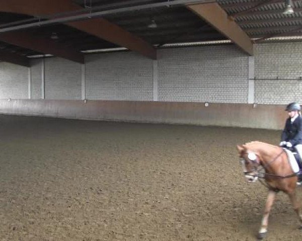 Reit - und Springturnier Hamm-Rhynern 2015