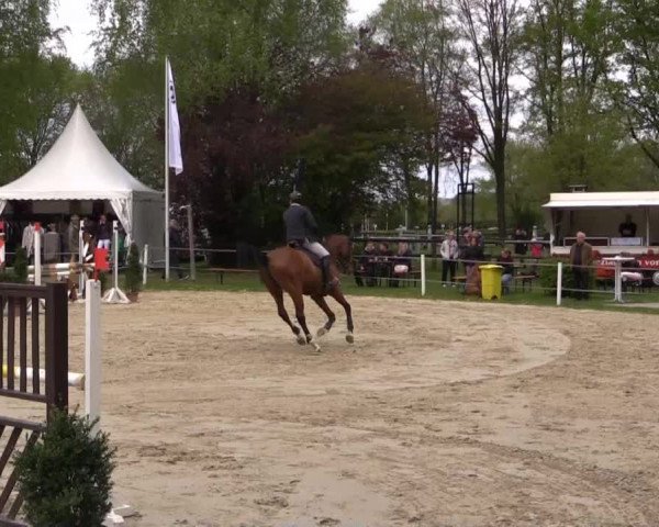 Greven Bockholt 2015