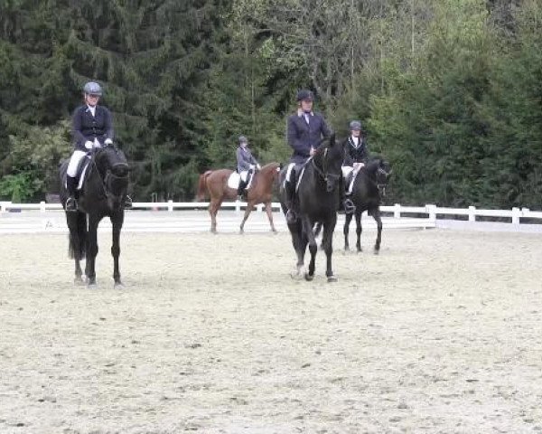 Dressur- und Springturnier Halver 2015