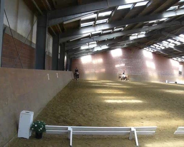 Video von Penddolfawr Llewelyn 88990 (GBR)