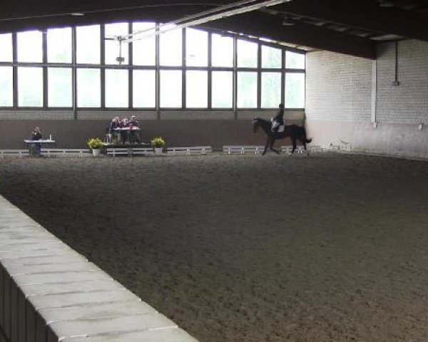 Reit - und Springturnier Hamm-Rhynern 2015
