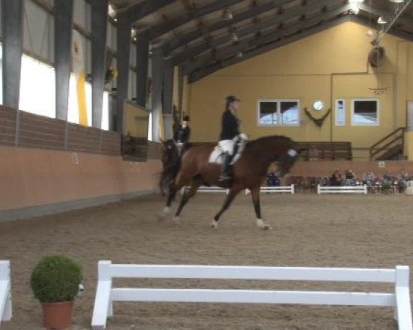 Frechen-Grefrath 2015
