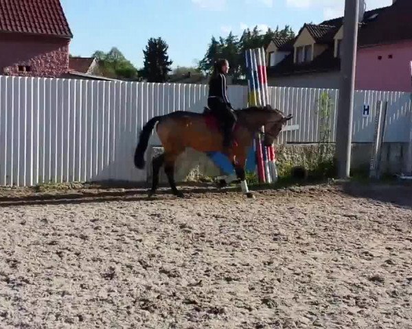Video von Alaska Kinská