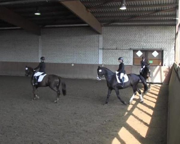 Reit - und Springturnier Hamm-Rhynern 2015