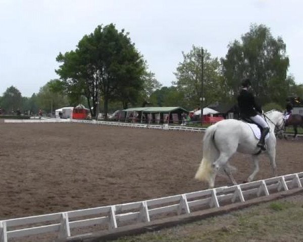Reit - und Springturnier Hamm-Rhynern 2015
