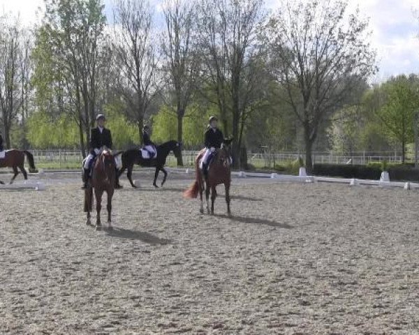 Greven Bockholt 2015