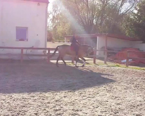 Video von Alaska Kinská