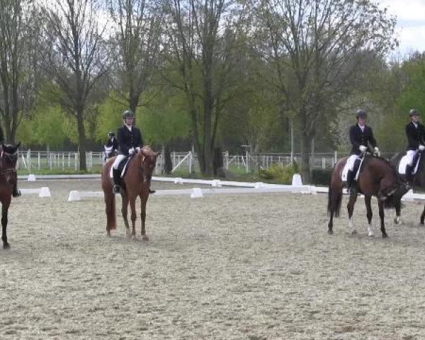 Greven Bockholt 2015